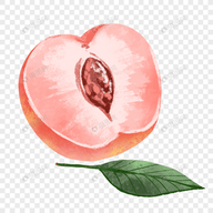 WWW,uuu28·COM网站APPAPP应用