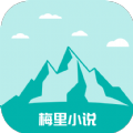 51自拍视频APP应用